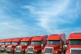Red 18-wheeler trucks lined up